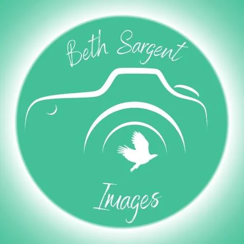 Beth Sargent Images Footer Logo