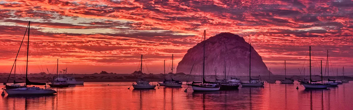 Morro Bay On Fire By Beth Sargent
