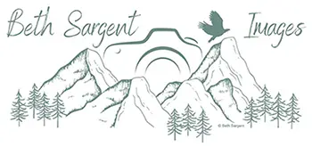 Beth Sargent Images Logo