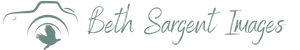 Beth Sargent Images Header Logo